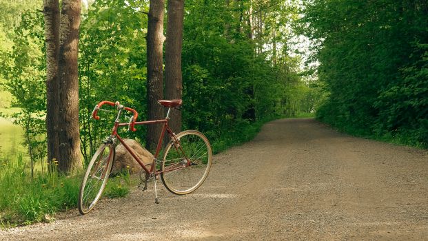 Best Ebike for Dirt Roads: Tested Reviews, Real Range & Buyer Traps (2026 Guide)