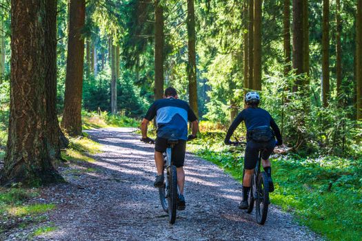 Best Ebike for Off Road Hills: Tested Reviews for Adventon, Lectric & Bakcou