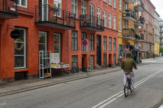 Best Electric Bike for Short People (And the Best Electric Bike for Dogs Too)