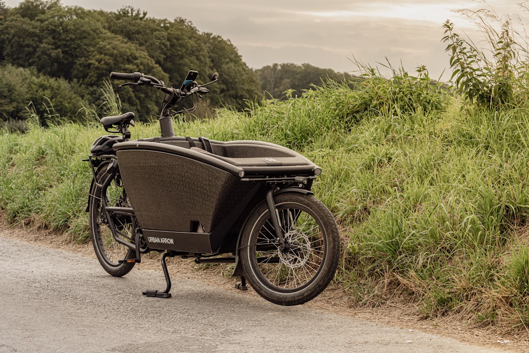 Child Seat on Cargo eBike: 6 Months of School Run Testing